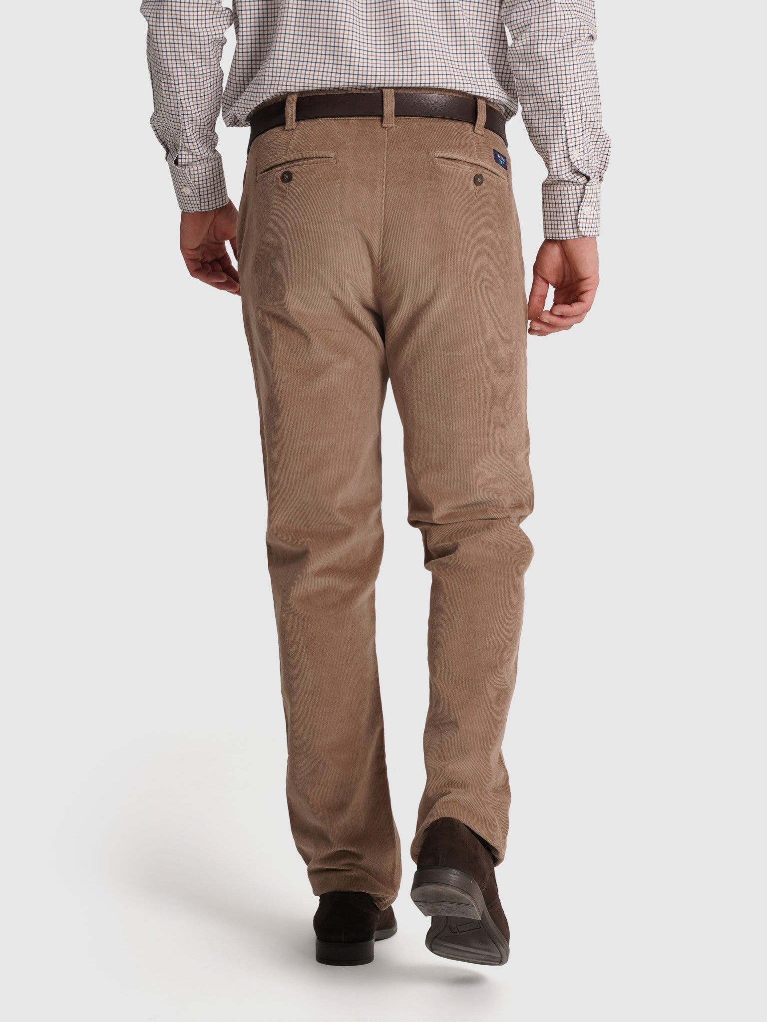 COTTON TROUSERS CAMELS CLASSIC FIT MR. BLUE