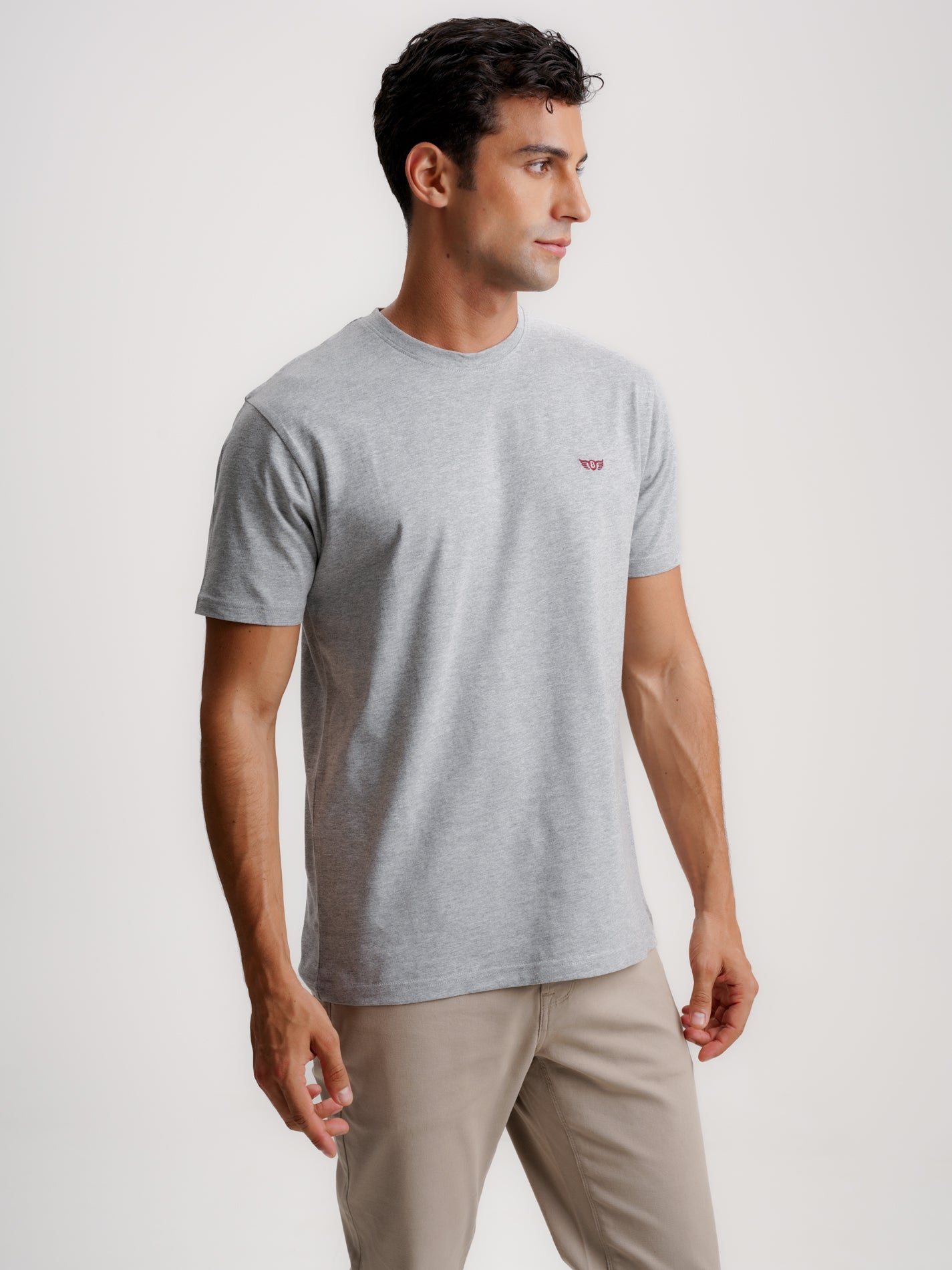 CAMISETA ALGODÓN GRIS MANGA CORTA REGULAR FIT MR. AZUL