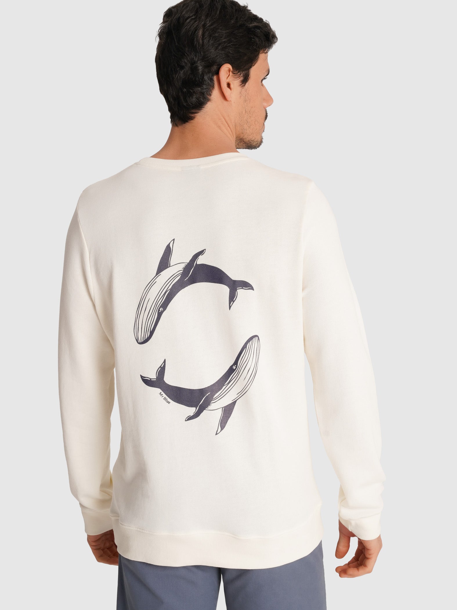 HOODIE ALGODÃO CRU MANGA COMPRIDA REGULAR FIT MR. BLUE