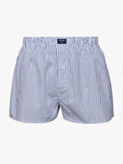 BOXERS AZULES CLASSIC FIT MR. AZUL