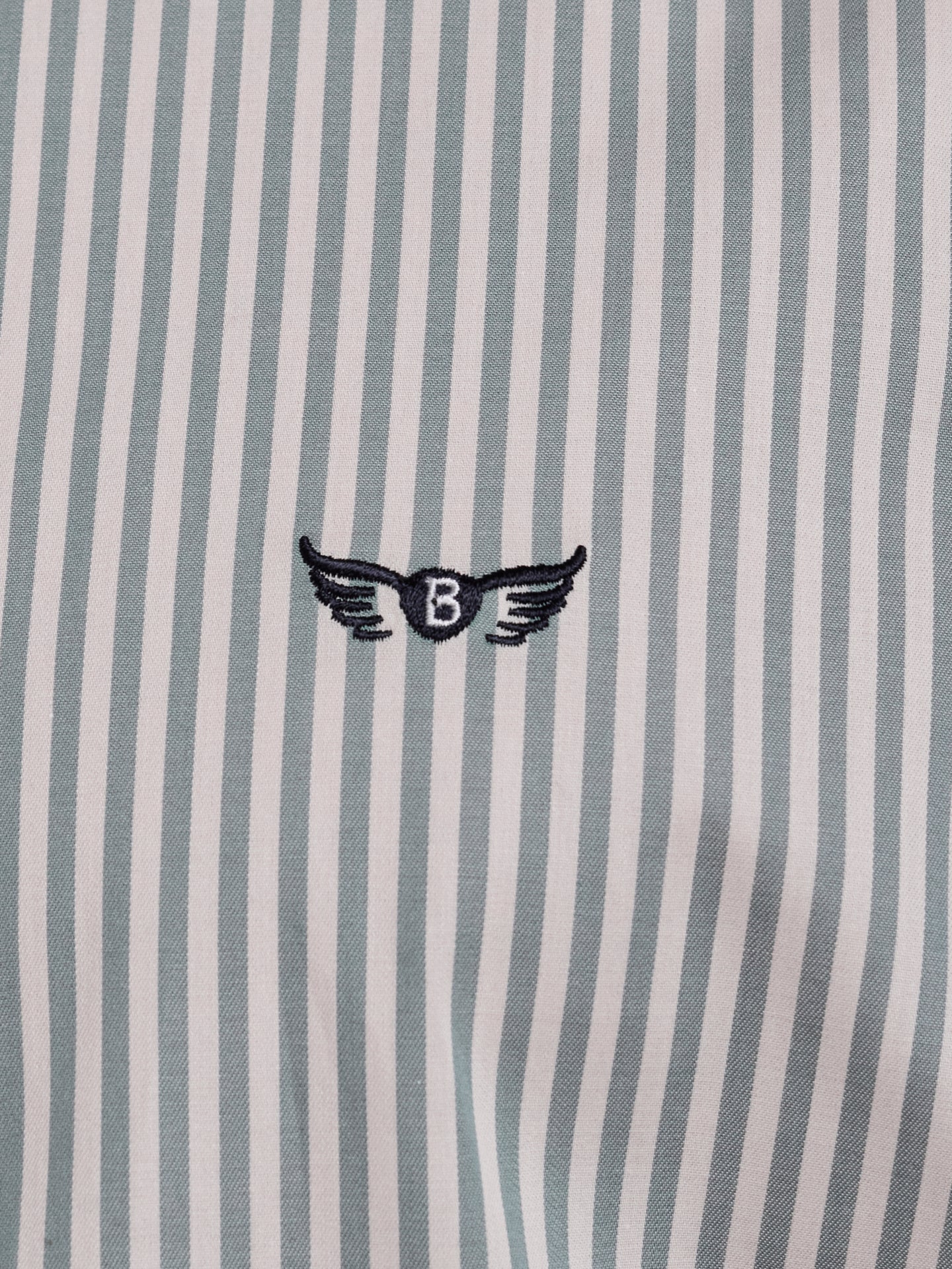 CAMISA ALGODÃO VERDE MANGA COMPRIDA REGULAR FIT MR. BLUE