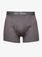 GRAY BOXERS CLASSIC FIT MR. BLUE