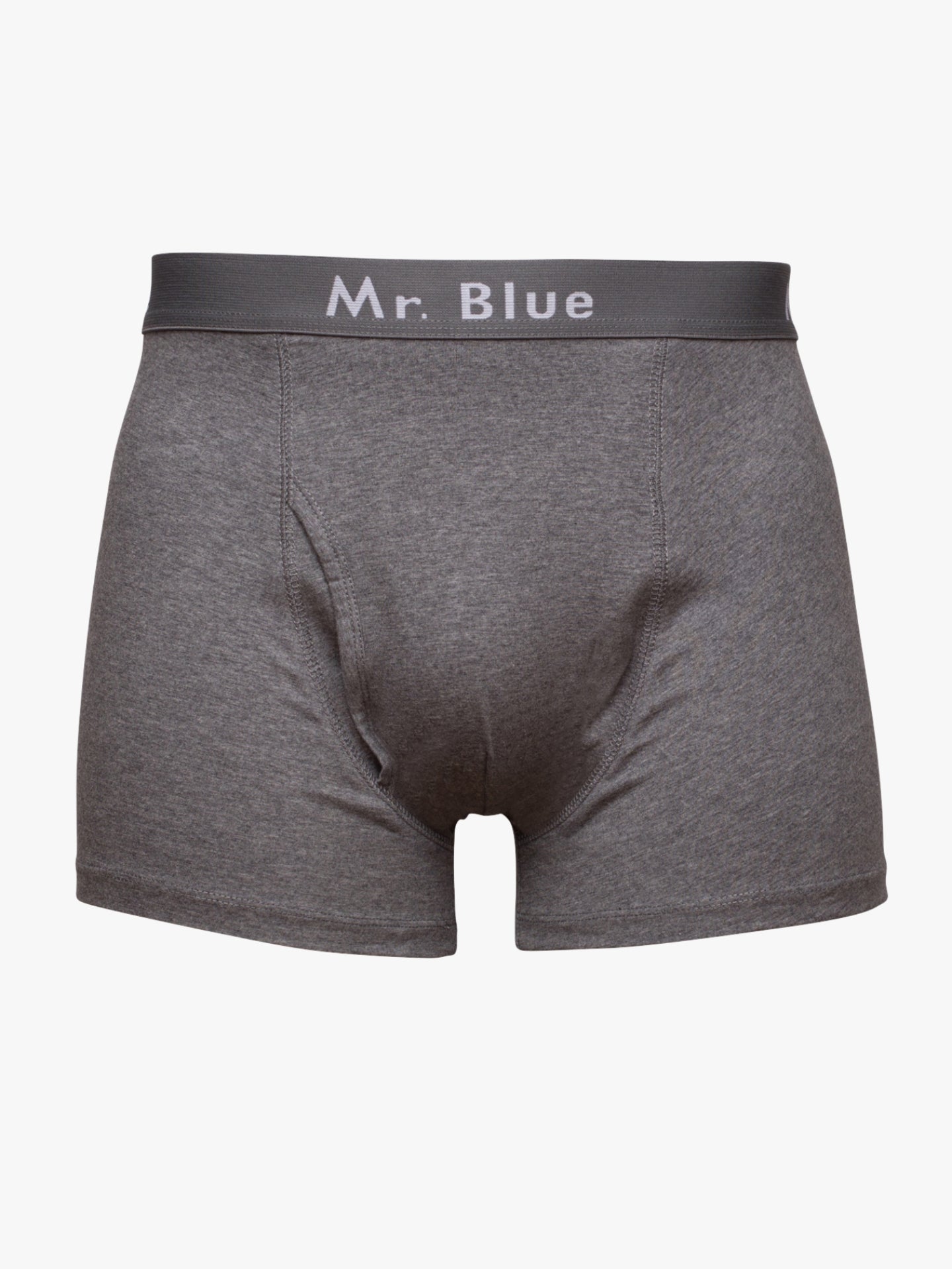 GRAY BOXERS CLASSIC FIT MR. BLUE
