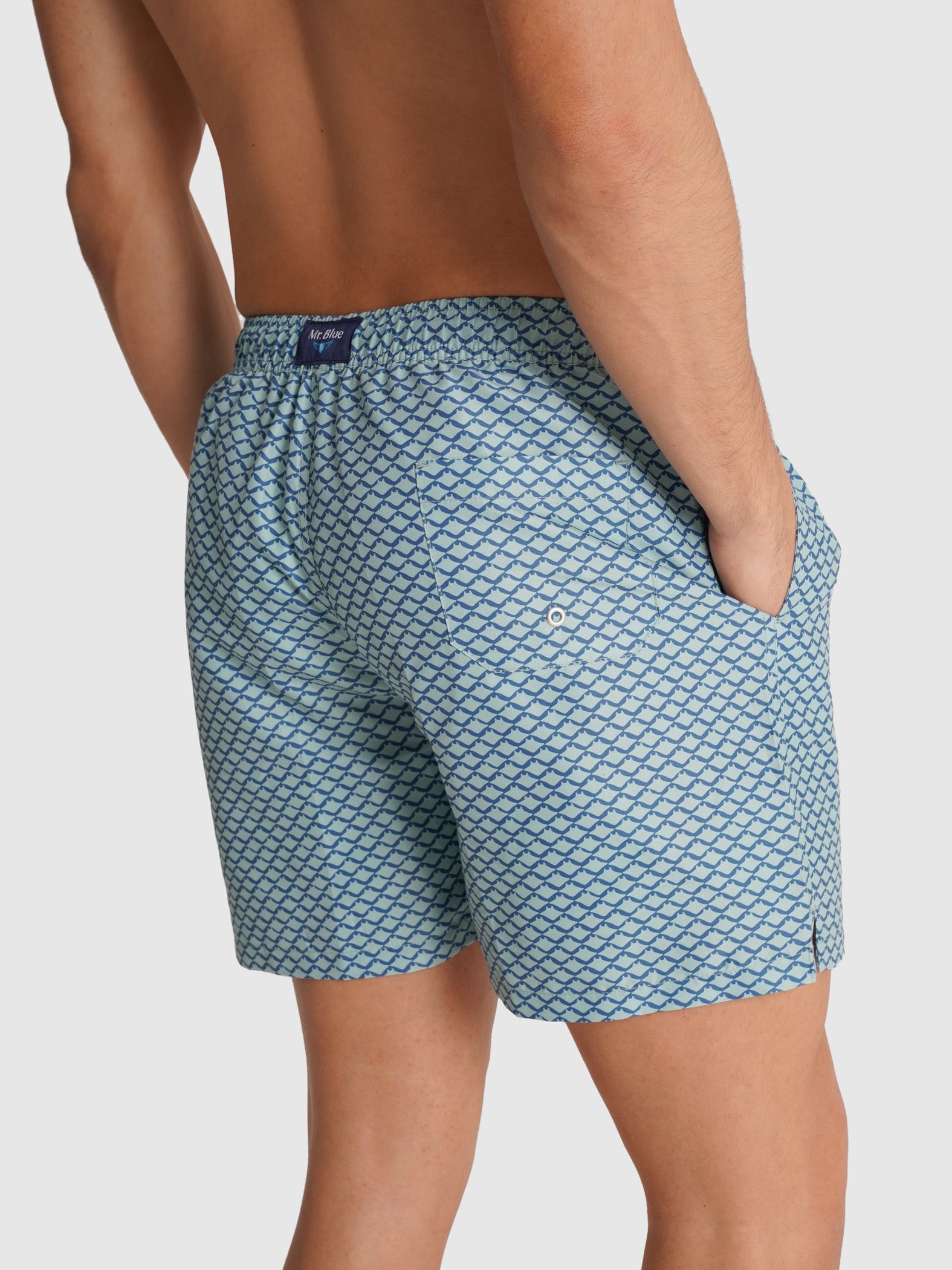 FATO BANHO AZUL REGULAR FIT MR. BLUE