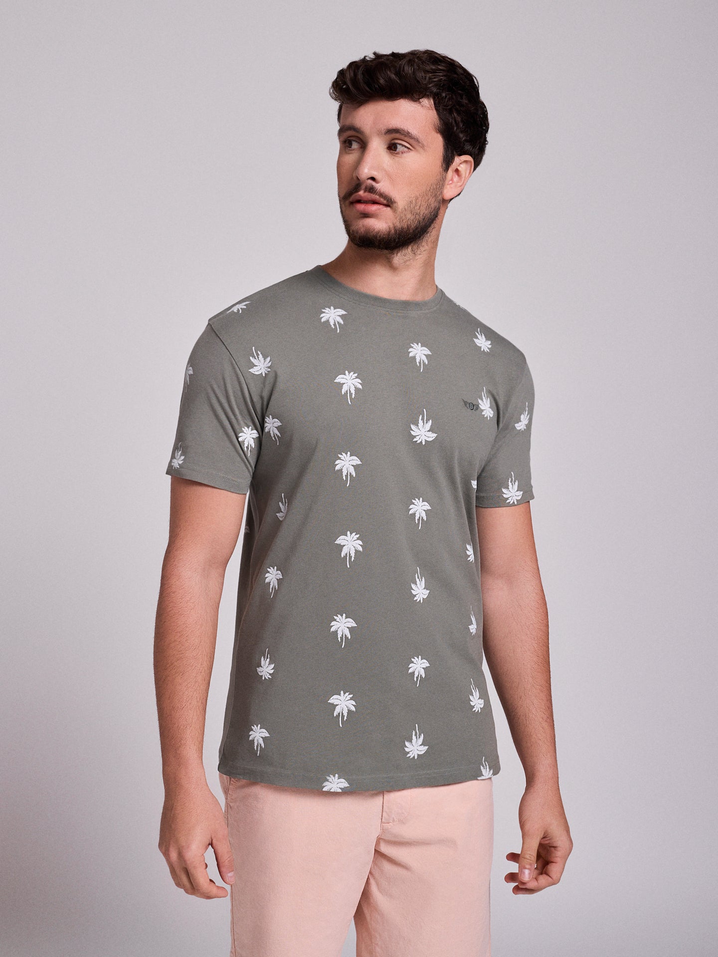 T-SHIRT ALGODÃO VERDE MANGA CURTA REGULAR FIT MR. BLUE